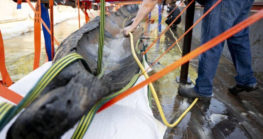 Enormous And Fully Intact Ancient Canoe Found In Swiss Lake