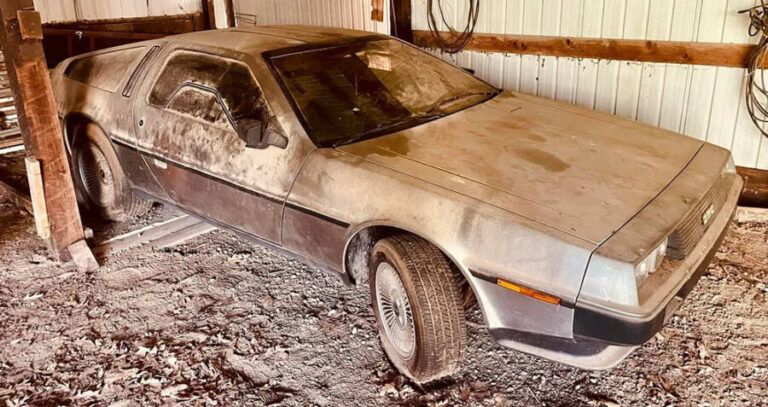 1981 Delorean In Dirt