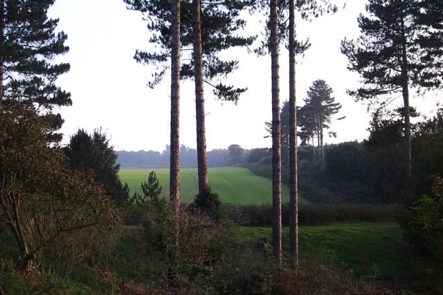 Rendlesham UFO Landing Site