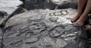 Rock Carvings In Brazil
