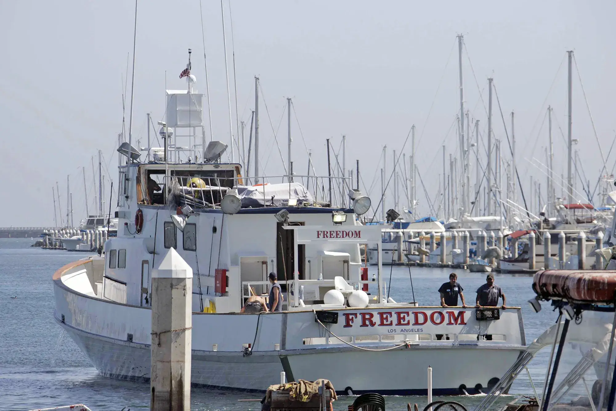 Freedom Boat