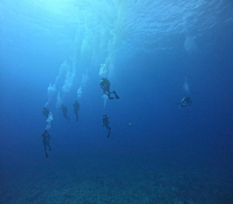 Group Of Divers