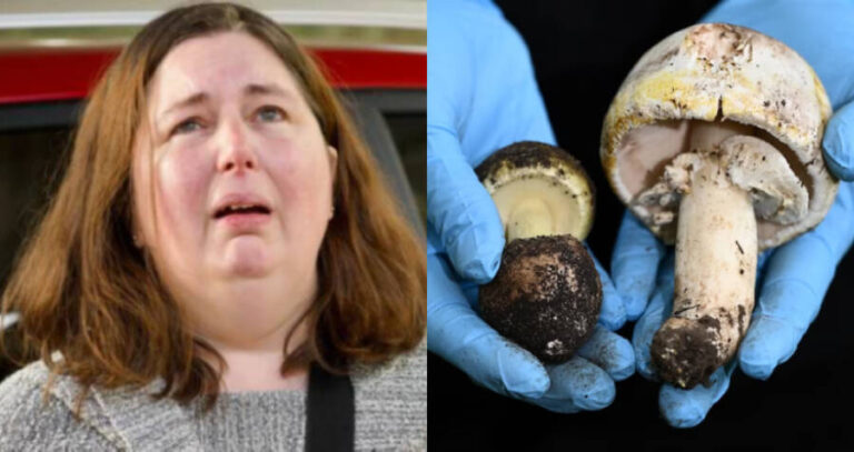 Patterson With Mushroom