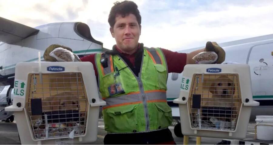 Richard Russell And The Horizon Air Q400 Incident Of 2018