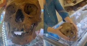 Thrift Store Skull Handled