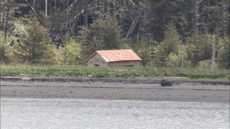 Portlock, The Alaska Ghost Town Allegedly Home To A 'Killer Bigfoot'