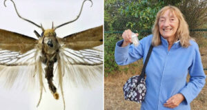 Barbara Mulligan Featured