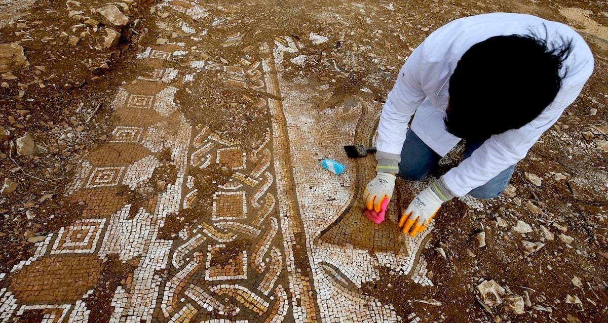 Türkiye’de keşfedilen deniz canlılarını tasvir eden Roma mozaiği