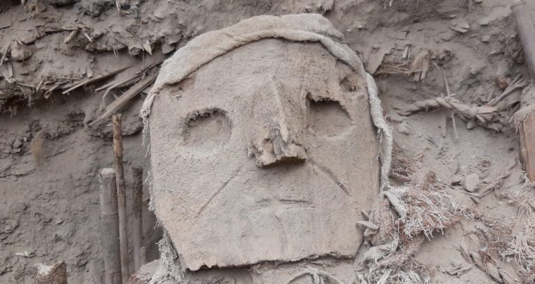 Featured Wari Mummy Mask