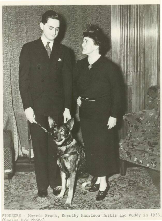 Morris Frank And Dorothy Harrison Eustis With Buddy