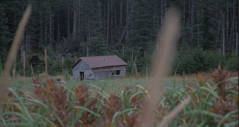 Portlock Alaska Featured