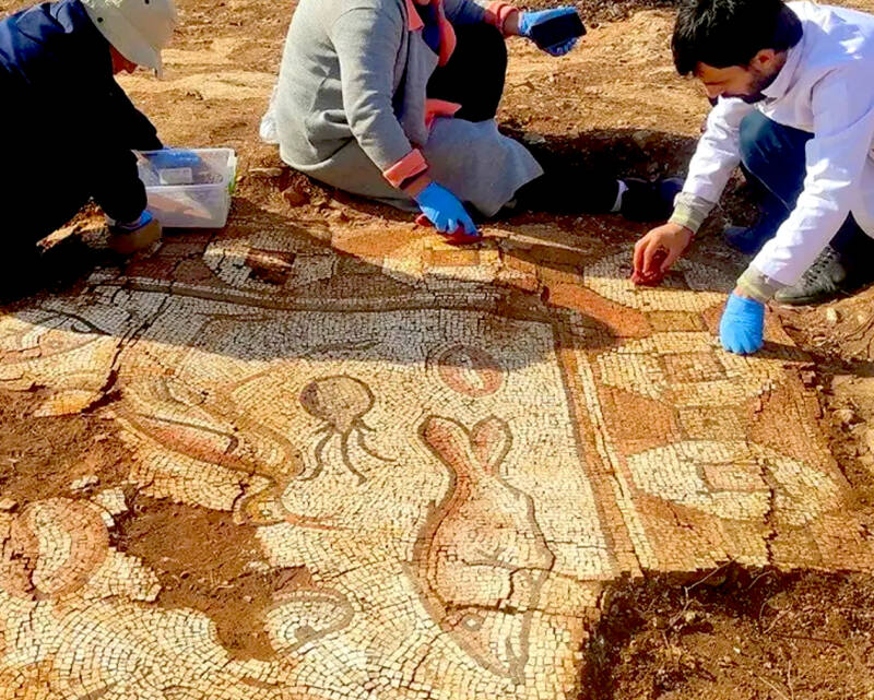 Roman Mosaic Unearthed In Turkey