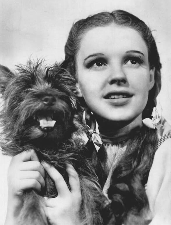 Terry And Judy Garland