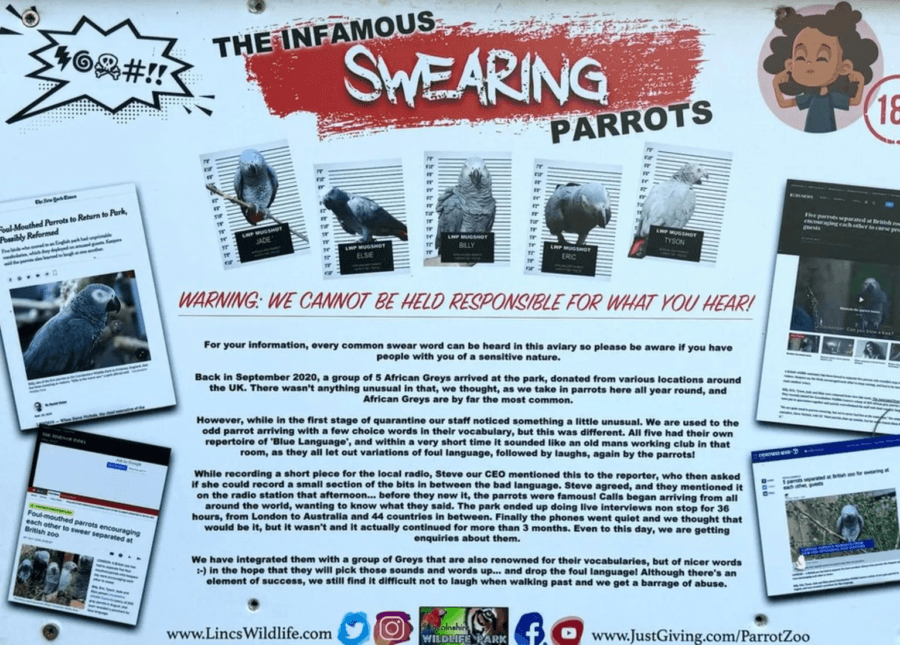 Cursing Parrots Warning Sign