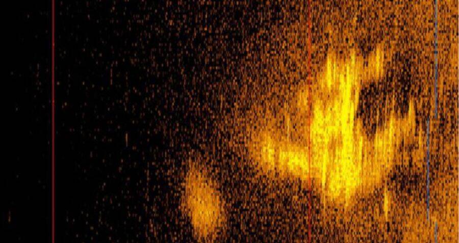 Sonar Image Of Amelia Earhart Plane 