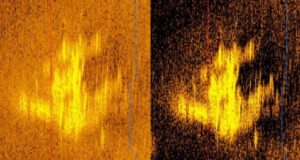 Two Sonar Images Of Plane Featured