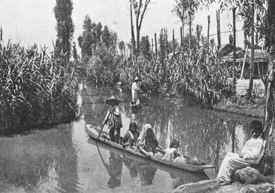 Historia de las chinampas, «jardines flotantes» en México