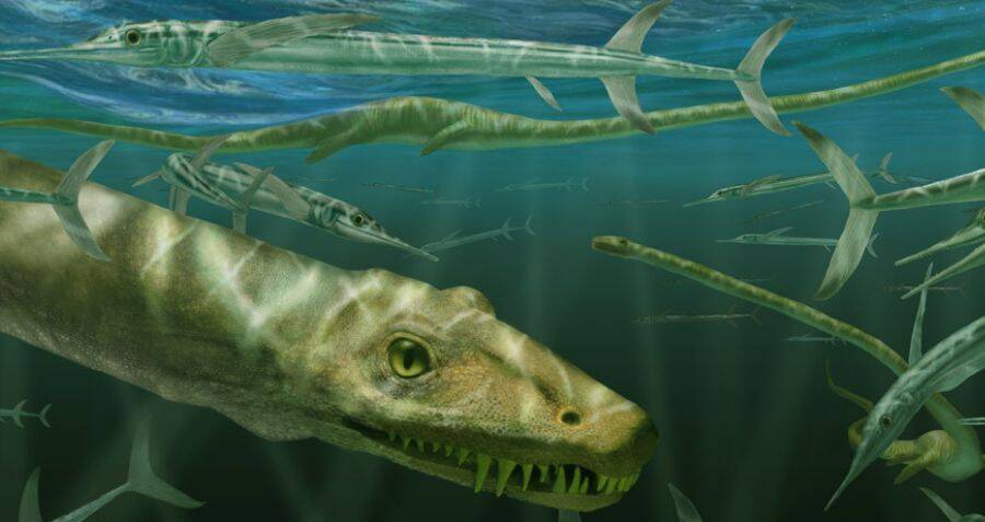 Scientists Discover Prehistoric Fossil Resembling Mythical Dragon