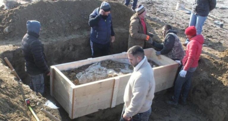 Excavating Avar Warrior Featured