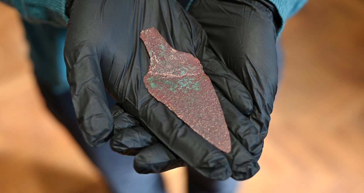 ‘Extremely Rare’ 4‚000-Year-Old Copper Dagger Found In Polish Forest