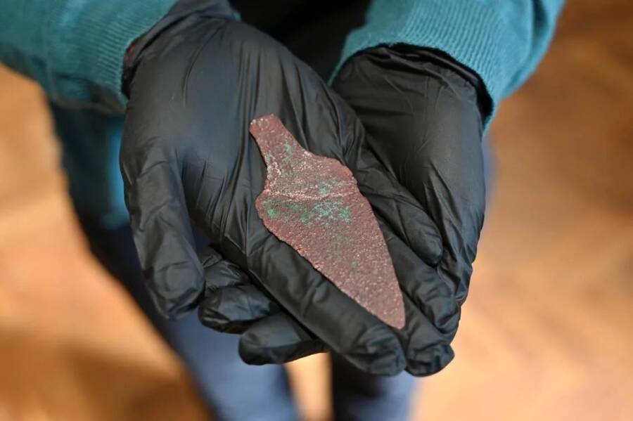 Ancient Dagger Found In Jarosław Forest