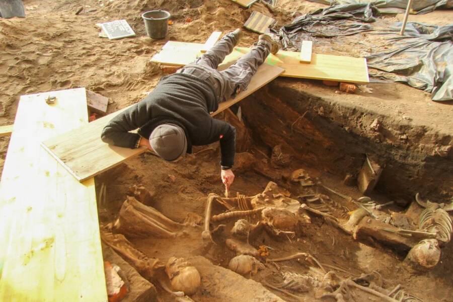 Arkeolog Membungkuk di atas Kuburan