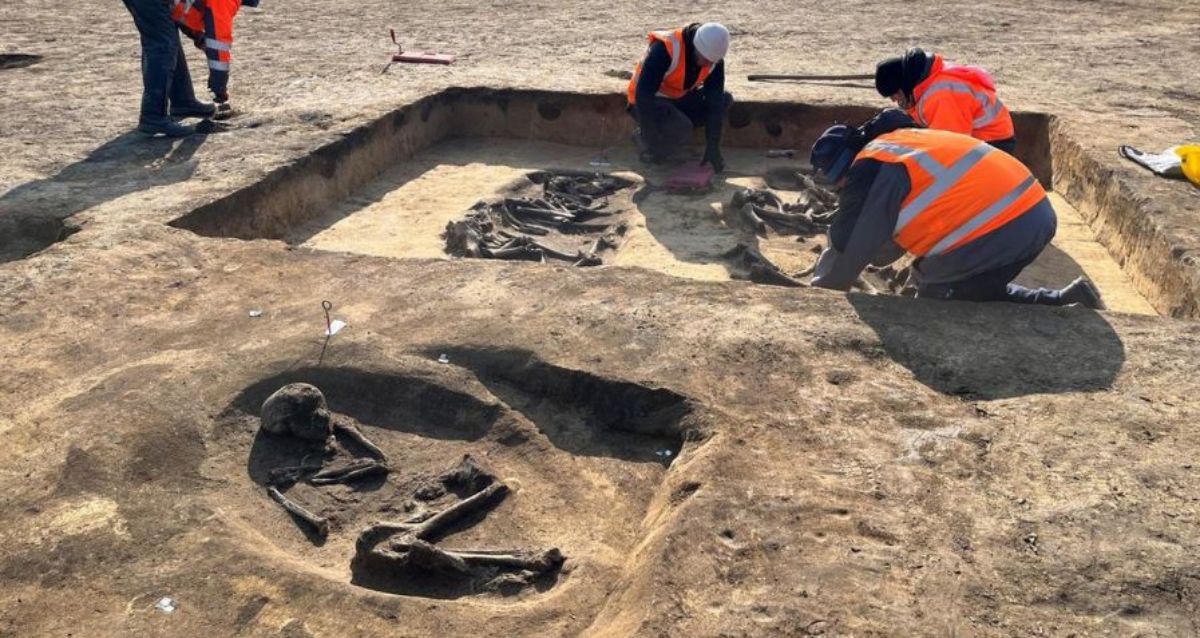 Macabre Burial Of A Man‚ A Chariot‚ And Two Cattle Unearthed At A Neolithic Complex In Germany
