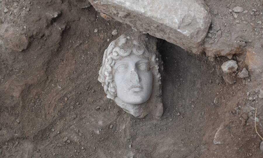 Head Of Apollo Statue