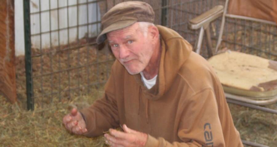 Montana Farmer Arrested For Breeding Giant Hybrid Sheep   Jack Schubarth 