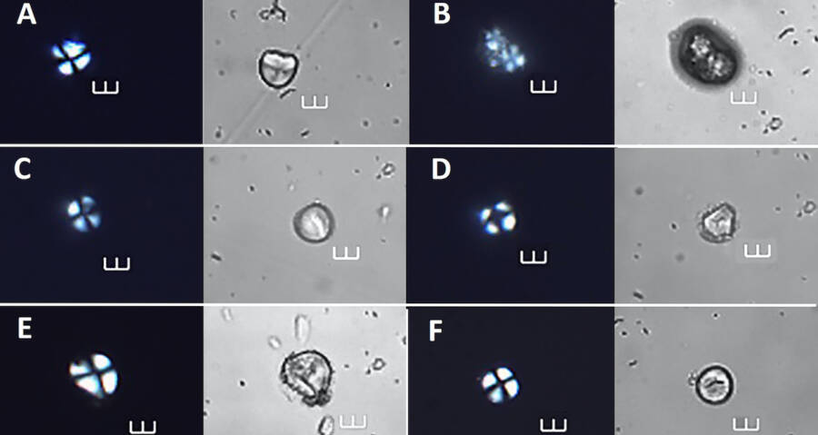 Obsidian Blades From Rapa Nui Reveal Evidence Of South American Foods