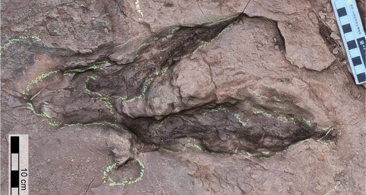 These 96-Million-Year-Old Dinosaur Tracks Uncovered In China Likely Belonged To History’s Largest Raptor