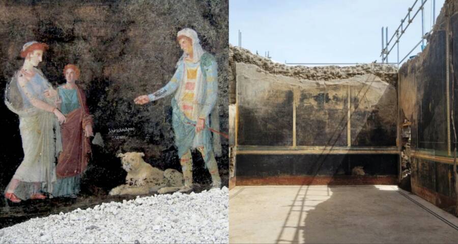 Stunning Frescoes Uncovered In Pompeii Banquet Room