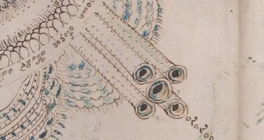 The Voynich Manuscript Could Be Partially About Sex 5554