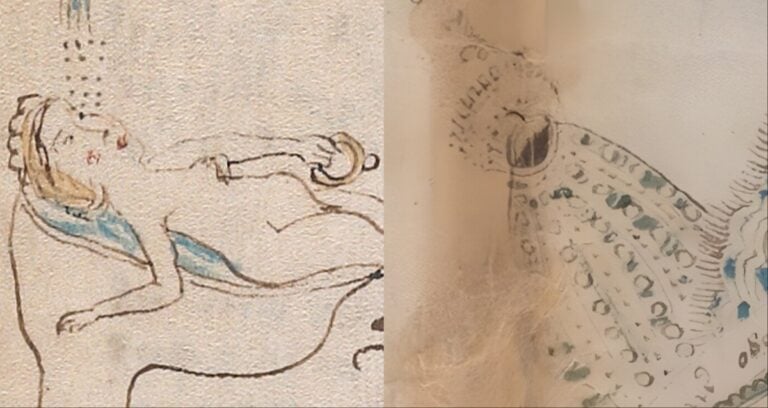 Voynich Manuscript Featured