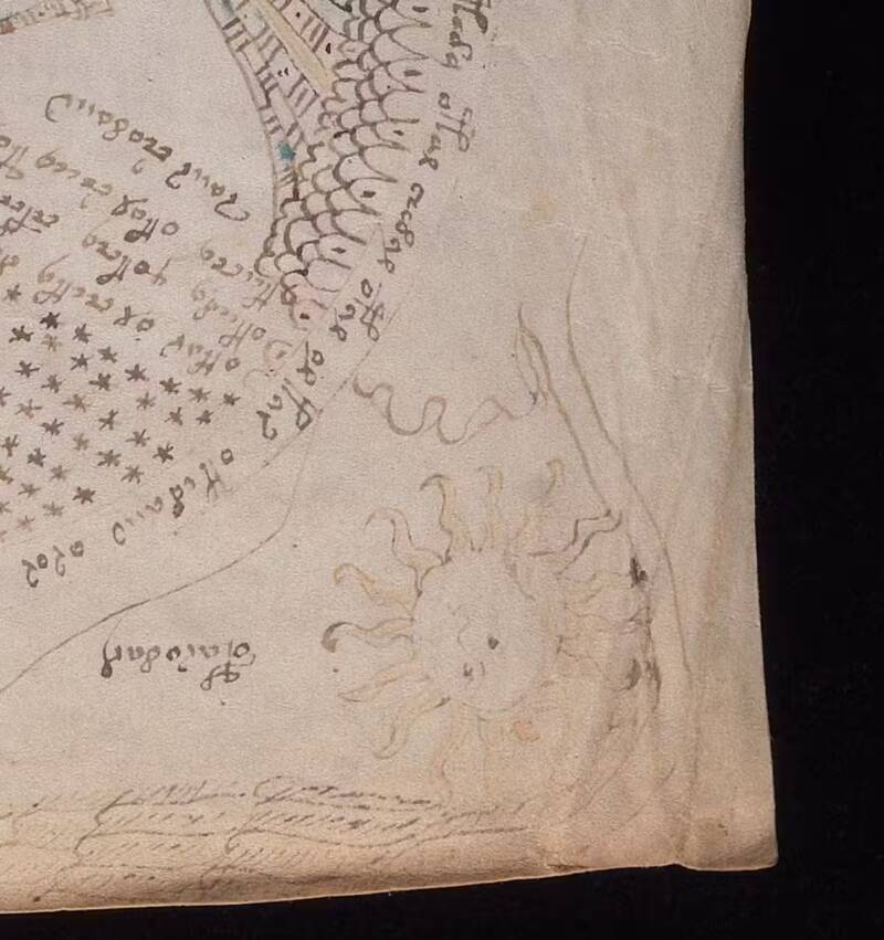 Voynich Manuscript Rosettes Sun