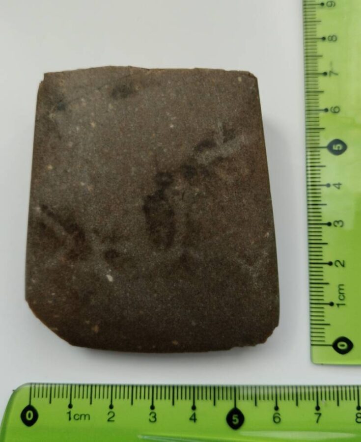 Polish Man Finds 4,500-Year-Old Axe In His Raspberry Bush