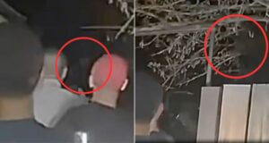 Alien Footage Featured