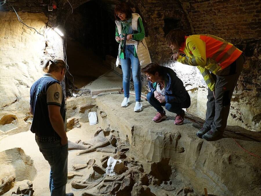Archaeologists Working With Mammoth Bones
