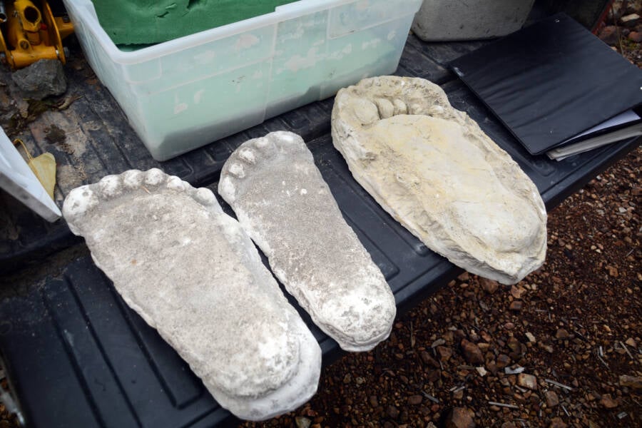 Plaster Casts Of Bigfoot Footprints