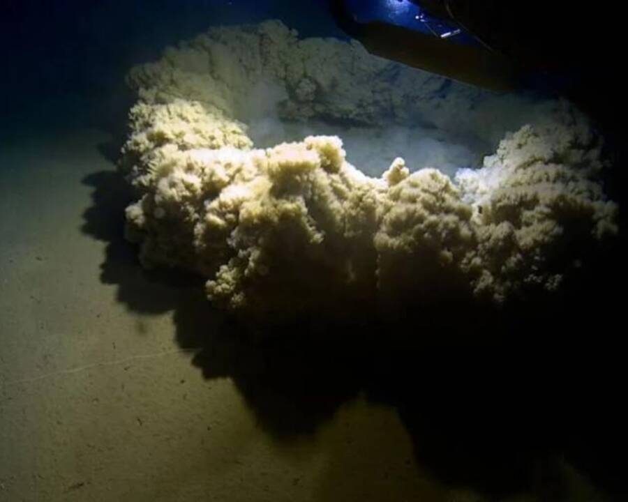 Billowing Sand In Challenger Deep
