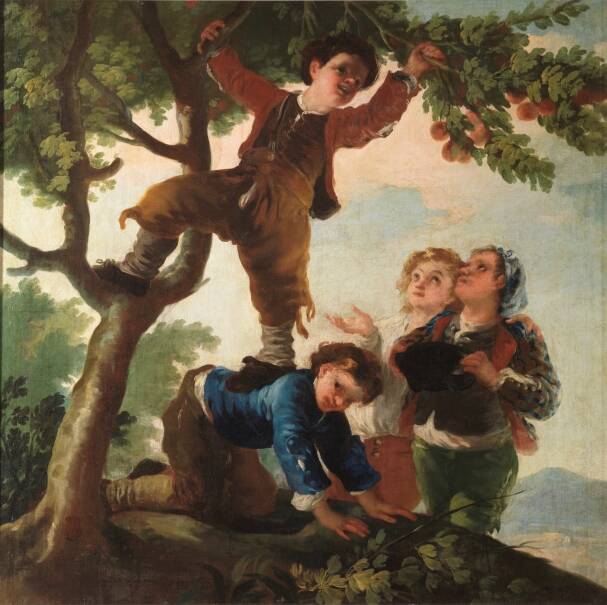 Boys Picking Fruit By Goya