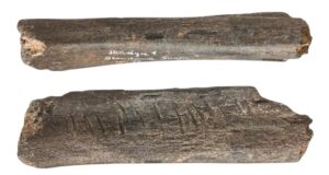 Carved Bear Bone Featured