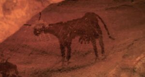 Cattle Rock Art