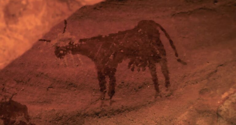Cattle Rock Art