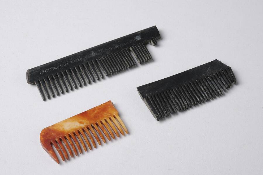 Combs Found At The Savenay Site