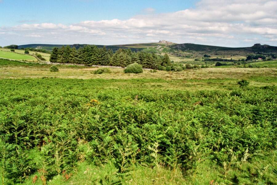 Dartmoor National Park Landscape