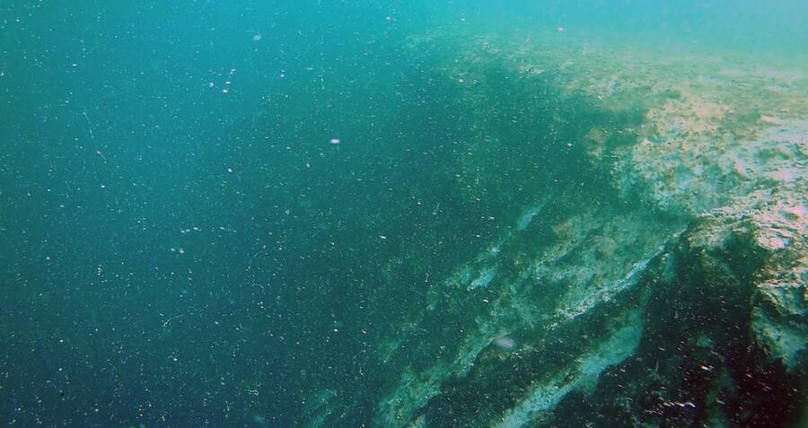 Taam Ja' Blue Hole, The Deepest Ocean Sinkhole On Earth