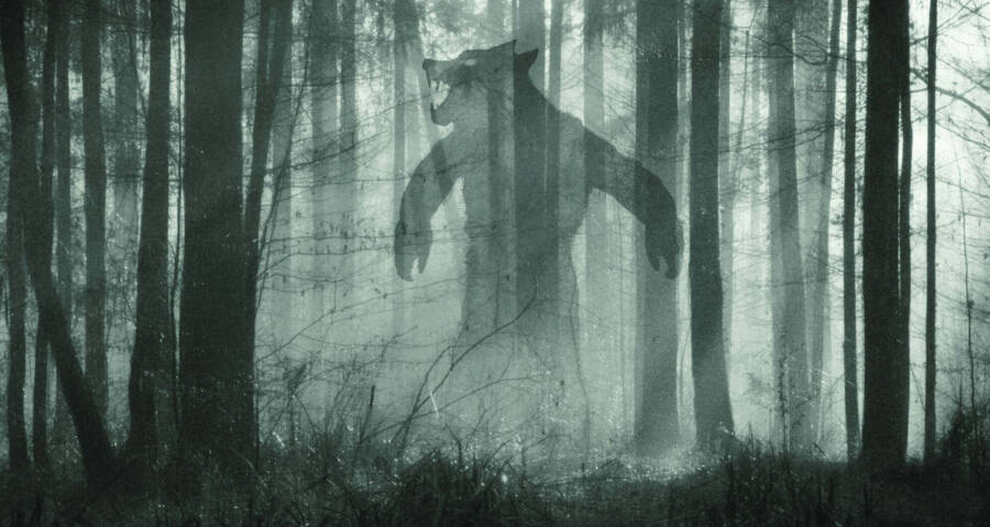 Michigan Dogman, The Legendary Seven-Foot-Tall Canine Monster