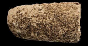 Featured Maya Beekeeping Plug