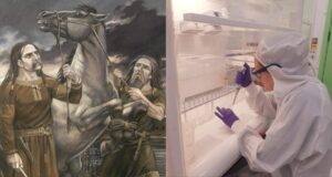 Horse Teeth Featured